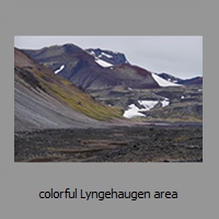 colorful Lyngehaugen area